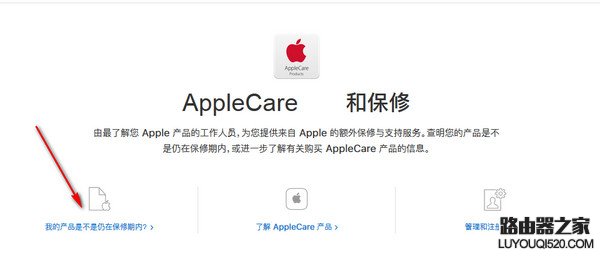 ipad查询序列号 ipad激活时间查询方法_www.iluyouqi.com