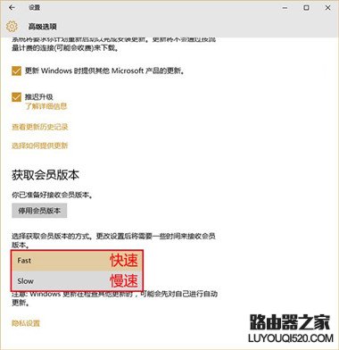 Win10预览版怎么升级 Win10预览版升级方法_www.iluyouqi.com