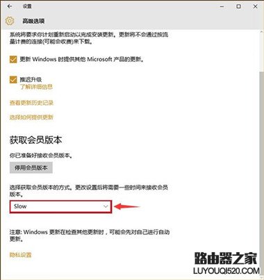 Win10预览版怎么升级 Win10预览版升级方法_www.iluyouqi.com