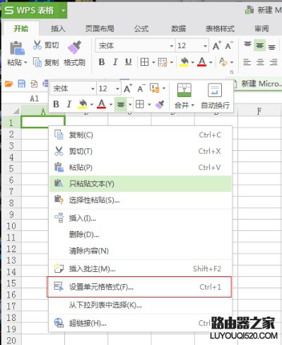 Excel中如何设置输入为0开头的数字？_www.iluyouqi.com