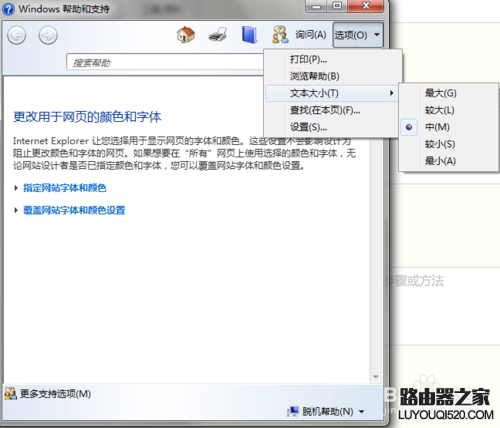 浏览器网页字体变小了怎么办？ IE打开字体小谷歌字体正常_www.iluyouqi.com
