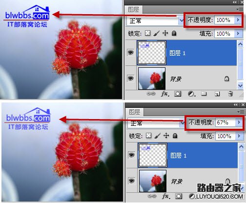 ps透明度怎么调整？ps透明度快捷键在哪里设置_www.iluyouqi.com