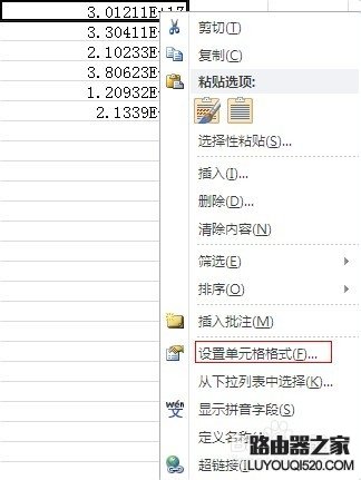 excel身份证号码格式怎么设置_www.iluyouqi.com