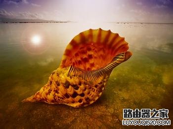 exploer.exe进程错误致使显示电脑黑屏的解决方案_www.iluyouqi.com