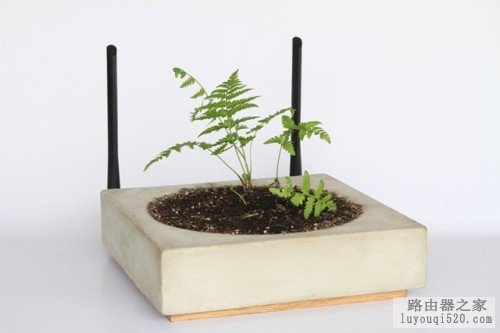 无线路由器上可以种植物 你信吗？_www.iluyouqi.com
